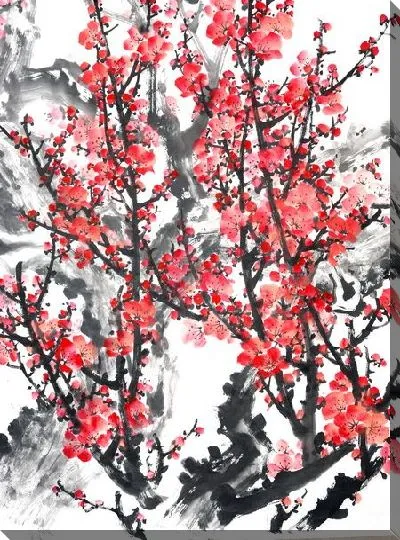 Постер Цветущая слива на белом фоне