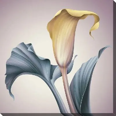 Картина маслом Калла