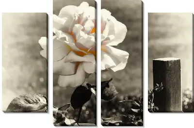 Модульная картина Роза №3