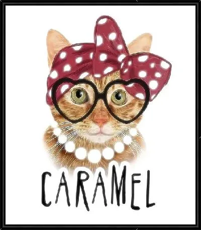 Кошка в бандане, бусах и очках