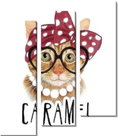 Кошка в бандане, бусах и очках