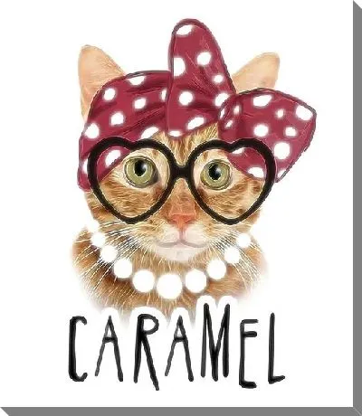 Кошка в бандане, бусах и очках