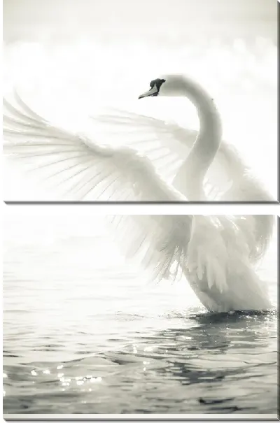 Модульная картина Взлетающий лебедь