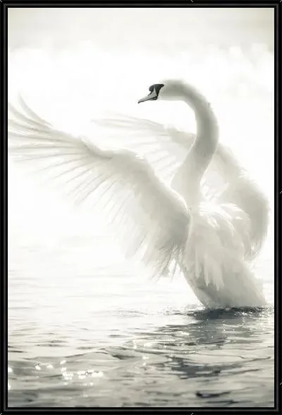 Картина Взлетающий лебедь