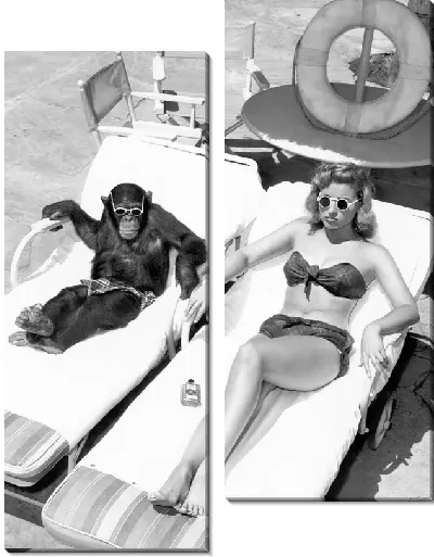 Модульная картина Обезьяна и девушка на шезлонгах