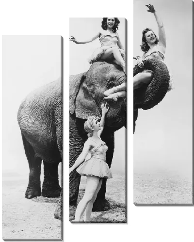 Модульная картина Девушки со слоном