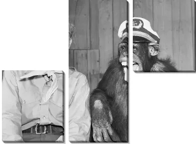 Модульная картина Пионер с обезьяной