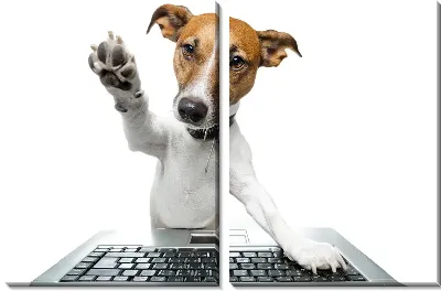 Модульная картина Собака за компьютером