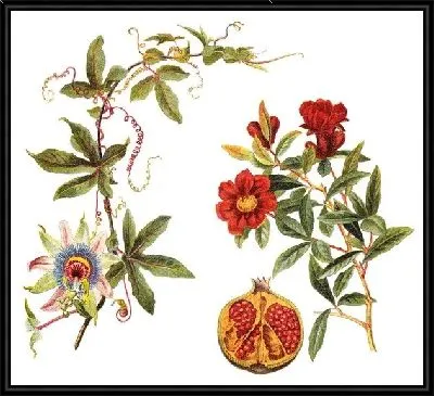 Гранат и цветы