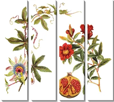 Гранат и цветы