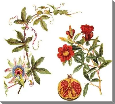 Гранат и цветы