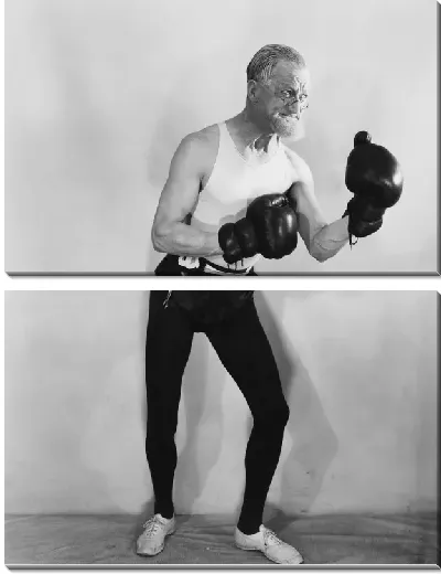 Модульная картина Пожилой боксёр