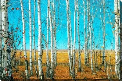Постер Берёзы №3