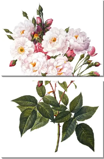 Модульная картина Дикие розы