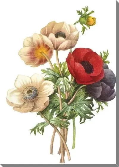 Картина маслом Анемоны №11