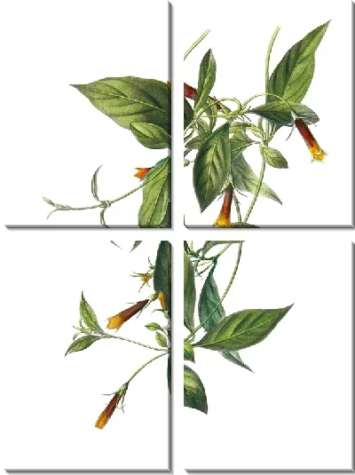 Модульная картина Лиана с цветами