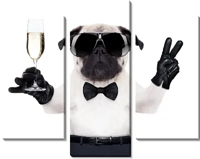 Модульная картина Собака с бокалом