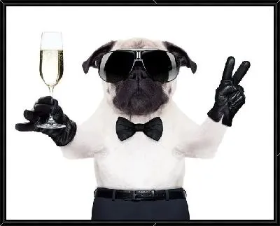 Собака с бокалом