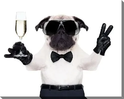 Собака с бокалом