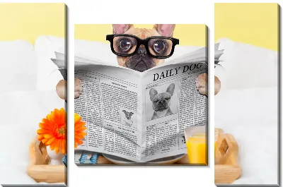 Модульная картина Собака с газетой