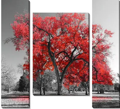 Модульная картина Красивое красное дерево в парке