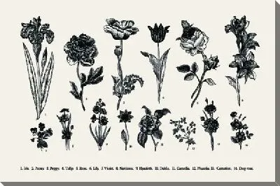 Картина маслом Цветы №78