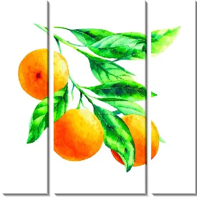Модульная картина Апельсины на ветке