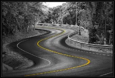 Дорога с желтым разделителем