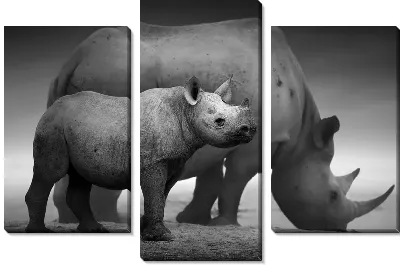Модульная картина Носороги