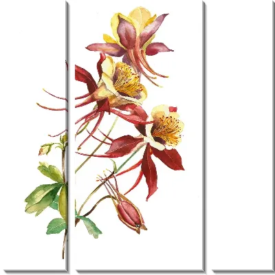 Модульная картина Дикая лилия