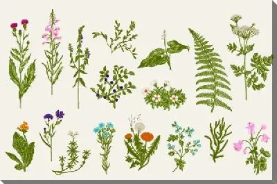 Картина маслом Цветы №82