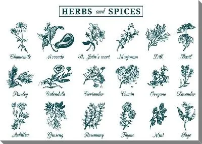 Картина маслом Травы