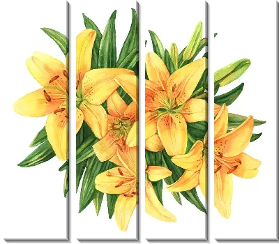 Жёлтые лилии