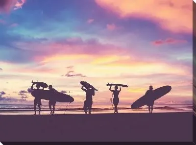 Постер Сёрфингисты