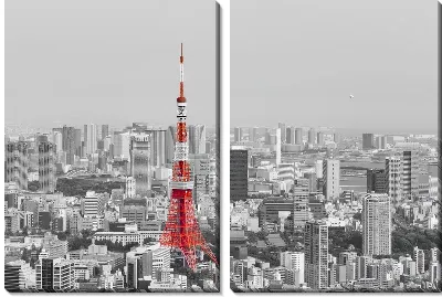 Модульная картина Токийская башня в Токио
