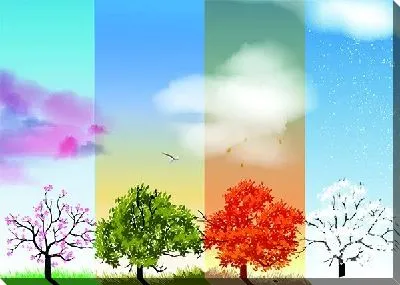 Времена года