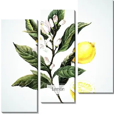 Модульная картина Лимон №6