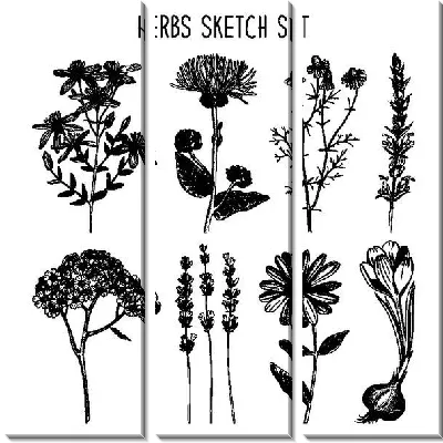 Модульная картина Цветы №83