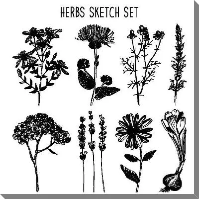 Картина маслом Цветы №83