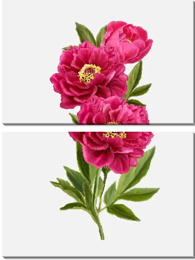 Модульная картина Пионы №9