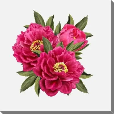 Картина маслом Пионы №10