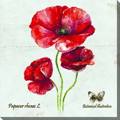 Картина маслом Маки №16