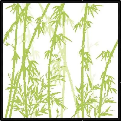 Бамбук на белом фоне