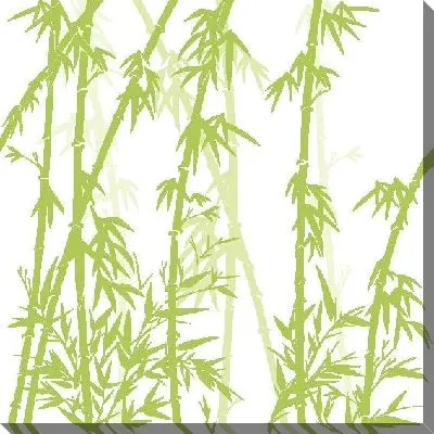 Бамбук на белом фоне