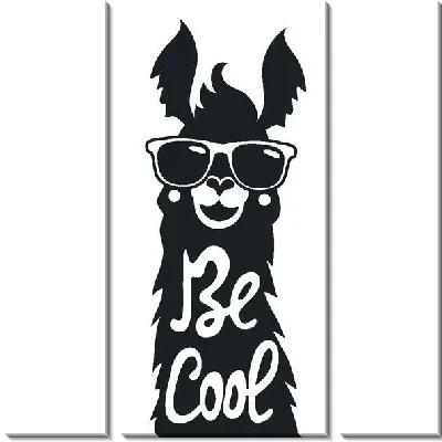 Лама в очках