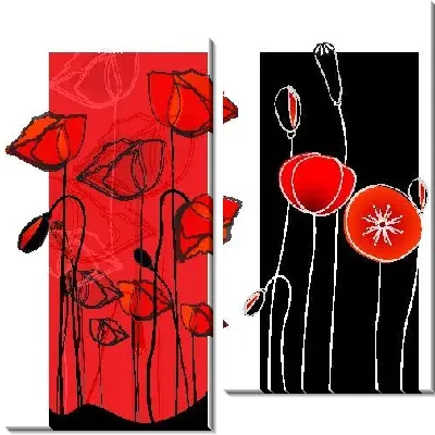 Маки на красном и черном фоне