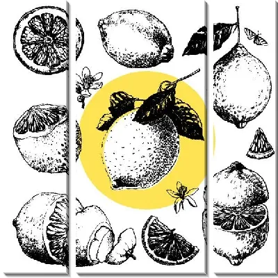 Модульная картина Лимоны №4