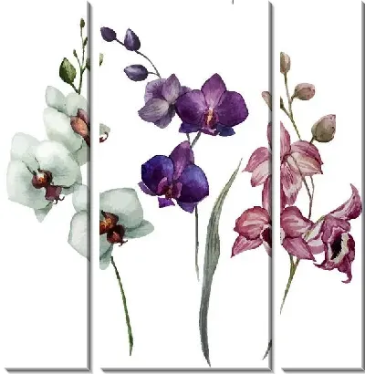 Модульная картина Орхидеи