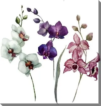 Картина маслом Орхидеи