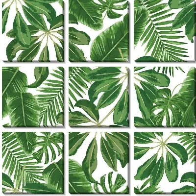 Модульная картина Тропические листья монстеры